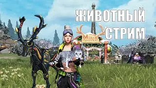 ЛОВИМ ИДЕАЛЬНУЮ ЛОШАДЬ, НОВЫЕ БОТКИ И ВЫБИРАЕМ КОТА ➤ Last Island of Survival #LIOS  #rustmobile