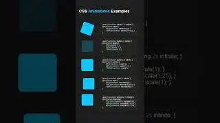 CSS Animations Examples 