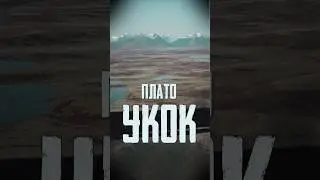 Плато Укок. Алтай 