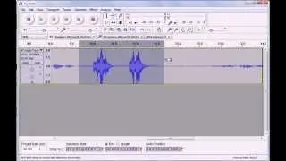 Basic Audacity Editing: Removing Audio Mistakes and Silences