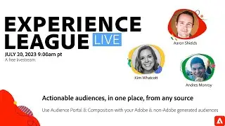 Actionable audiences, in one place, from any source, with standard controls