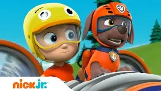 ¡La Patrulla de Cachorros rescata hipopótamos en el circo! 🎪 | Nick Jr. en Español