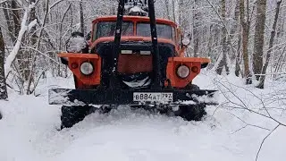 Макс Вертиго
