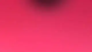 Здесь лапы у елей дрожат на весу. 
