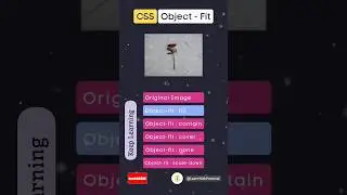 📚🔑how to use Object-fit in CSS | CSS Tutorials | 