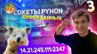 Урок 3 - Примеры - Буфер данных и сокеты в программировании Python socket