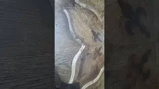 Какой бывает индивидуальный дизайнерский паркет
