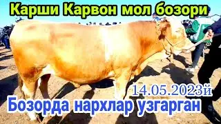 Карши Карвон мол бозори нархлари 14.05.2023 й
