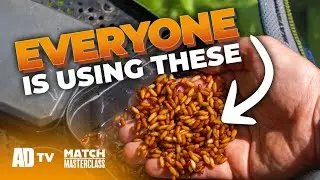 Shallow Fishing With Casters - Match Masterclass