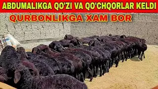 ABDUMALIK QURBON XAYITGA BO'NUSLAR QILDI XALQIMIZGA XAMA BIRDAY XURSAND