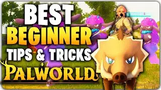 The BEST BEGINNERS GUIDE TIPS & TRICKS For Getting Started in PALWORLD