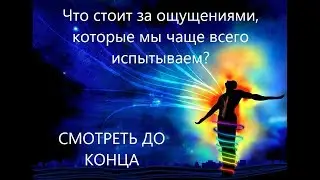 ЭНЕРГЕТИКА ОЩУЩЕНИЙ. Интерпретация и идентификация энергетических импульсов