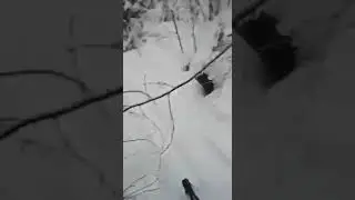 жесть! будьте осторожны и внимательны в лесах- в последнее время это уже не первое подобное видео !