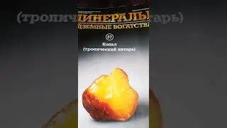 Копал ( тропический янтарь)