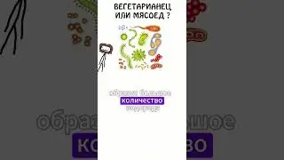 Вегетарианецы или мясоеды ???? #вегетарианец #мясоед #иф #пердеж #пук #сэмонелла #газ