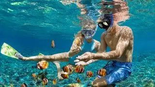 Afternoon Snorkel and Ocean Playground from Oahu, Hawaii