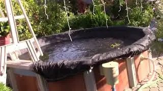 06 10 2024 г  Что делаем на даче  Обработка, подкормка, уход
