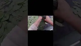 Волнующий момент  