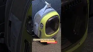 Из Германии в Россию навсегда