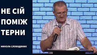 Проповідь "Не сій поміж терни" (Микола Слободяник)