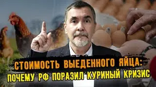 Стоимость выеденного яйца: почему Россию поразил куриный кризис