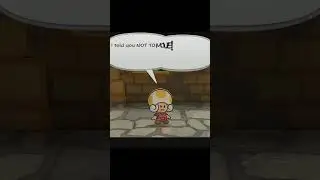 Paper Mario TTYD Has AMAZING Dialogue!