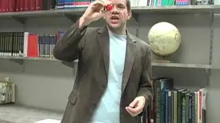Why does a ball bounce?