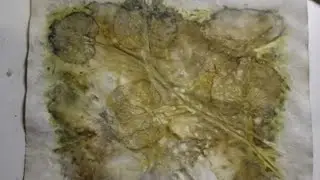 Eco-Dyeing Paper Flip Take 2 Using Alum