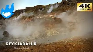 Reykjadalur (Steam Valley) - Walking in Iceland (4K)