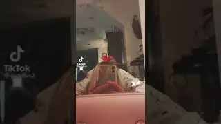 bugs bunny TikTok challenge 