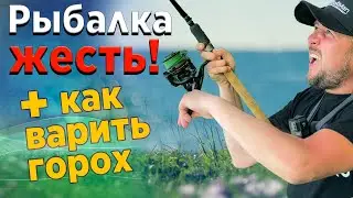 Как варить горох на ЛЕЩА! Лещ на фидер. Простая рыбалка.