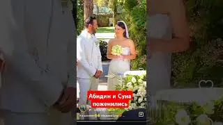 Абидин и Суна поженились, актеры Зимородка 