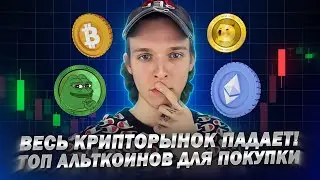 Крипторынок падает! Это начало БУЛЛРАНА? Лучшие Альткоины и Мемкоины для Инвестиций