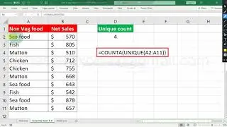 how to get unique count in excel using formula