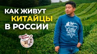 Фан Фэй (Серый Мокко): ЗАЧЕМ КИТАЙЦЫ ЕДУТ В РОССИЮ и как им тут живётся