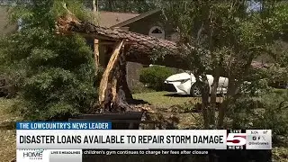 VIDEO: Disaster loans available for those affected by June storms across 7 SC counties