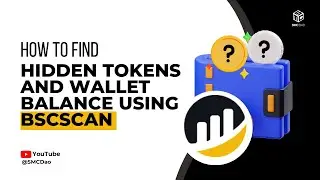 How To Find Hidden Tokens And Wallet Balance Using BSCscan