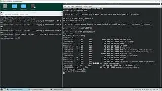 Python FTP Root Listing - Minimodem
