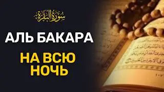 СУРА АЛЬ БАКАРА НА ВСЮ НОЧЬ СЛУШАЙТЕ И ЖИВИТЕ НА БЛАГЕ