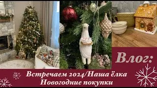 Предновогодний влог: Наша ёлка/Новогодний декор/Покупки к празднику🥂🎁🎉