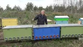 Метод пчеловодства в лежаках - 3 улья лежака и 2 пчелосемьи