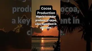 Interesting Fact About Nigeria: Cocoa Production
