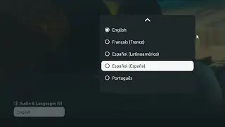 How To Change Amazon Prime Movies Audio Language on Smart TV