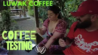 Luwak Coffee Testing | Worth The Hype ?! Pall Family with @DreiWhoGames