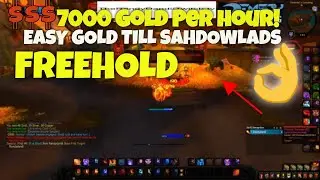 FREEHOLD GOLD FARM 7k per hour Patch 8.3 (World of Warcraft BFA)