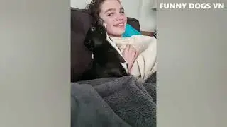Funniest Animals Video   Funny Dogs And Cats   Try Not To Laugh Animals  2023😍😍😍🤪🤪🤪🤣🤣🤣🤣🤣
