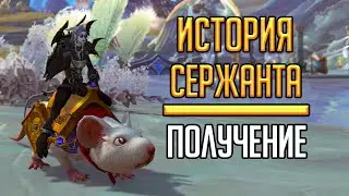 ИСТОРИЯ СЕРЖАНТА - новый маунт за новый режим в Hearthstone 