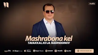 Tavakkalxo'ja Nasriddinov - Mashrabona kel (audio 2024)