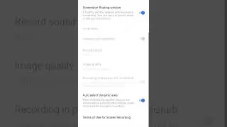 Enable SCapture sound to avoid mute recording ☺️