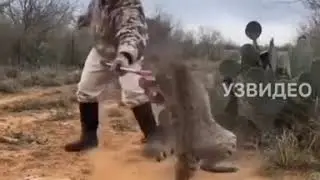 Спас кошку из капкана